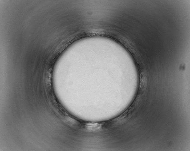 X0000114030369200911131254