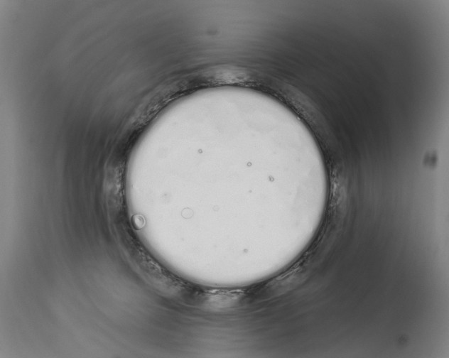 X0000114030373200911131254