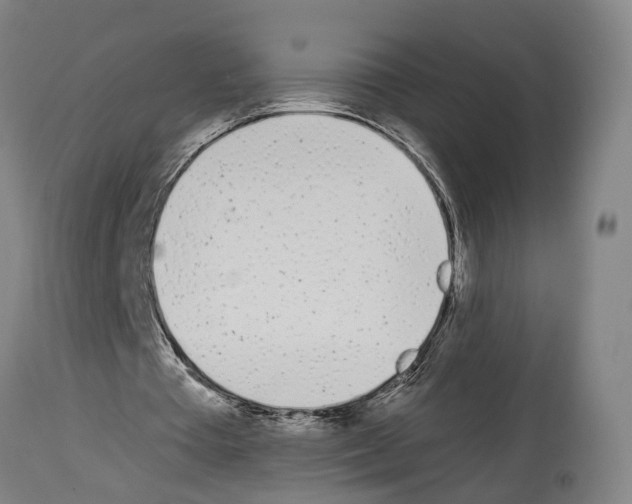 X0000114030385200911131253