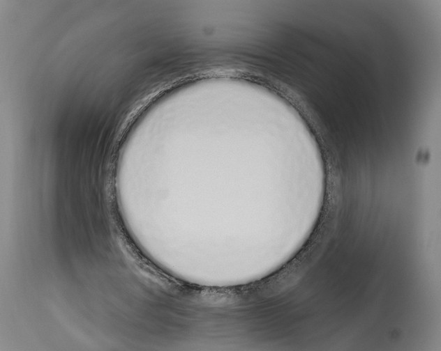 X0000114030386200911131253