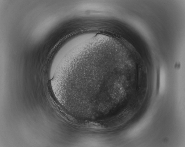 X0000114030387200911131253