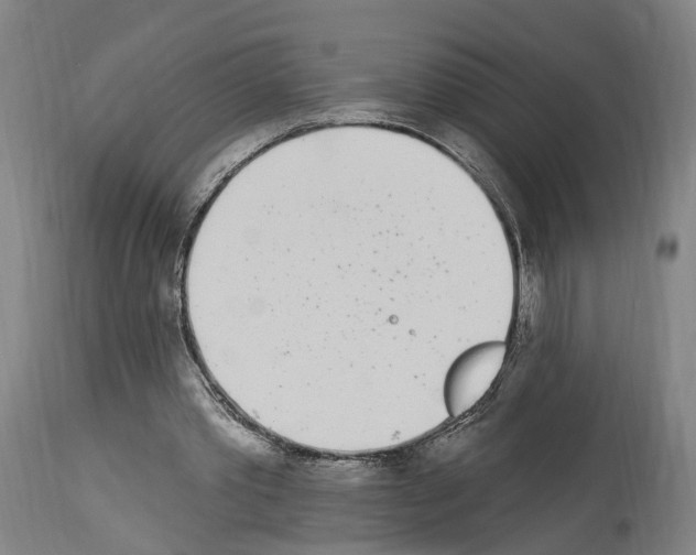 X0000114030389200911131253