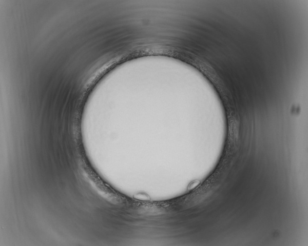 X0000114030390200911131253