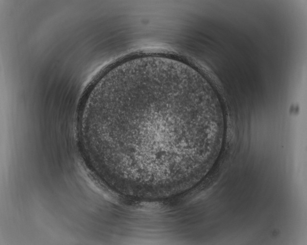 X0000114030391200911131253