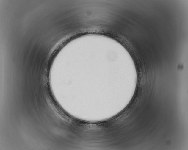 X0000114030392200911131253