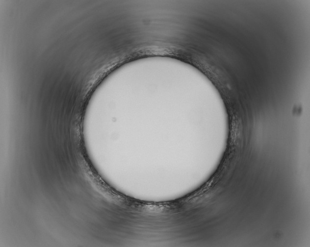 X0000114030394200911131253