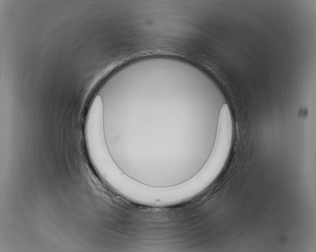 X0000114030395200911131253