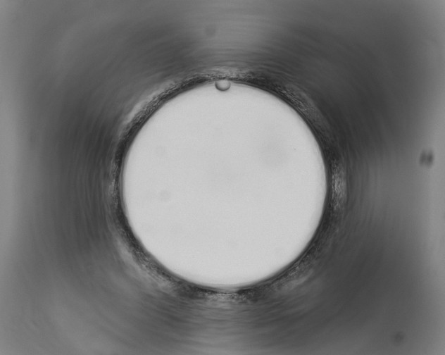 X0000114030396200911131253