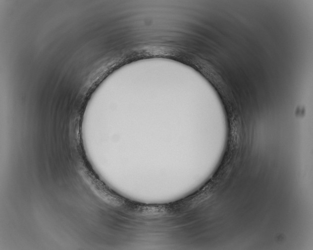 X0000114030398200911131253