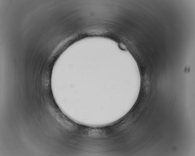 X0000114030400200911131253