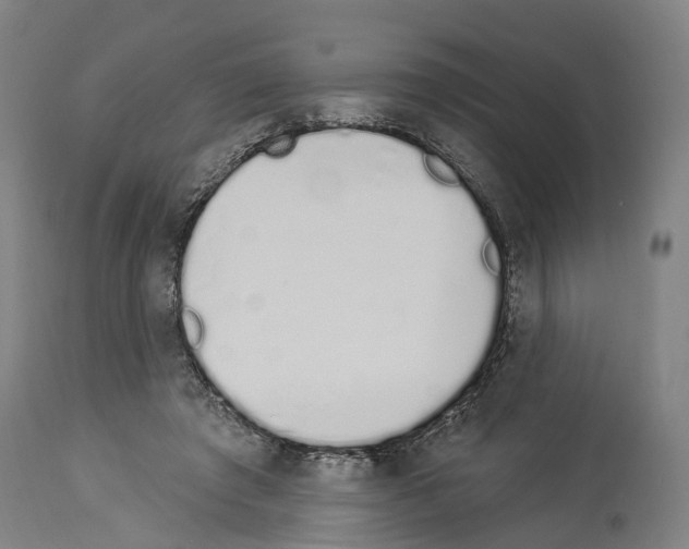 X0000114030401200911131253