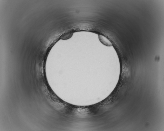 X0000114030403200911131253