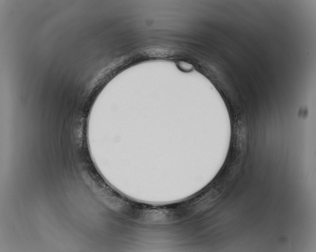 X0000114030404200911131253