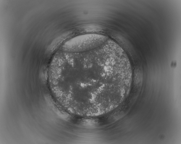 X0000114030405200911131253