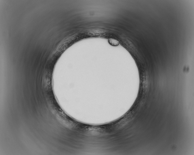 X0000114030408200911131253