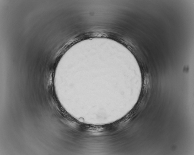 X0000114030413200911131253