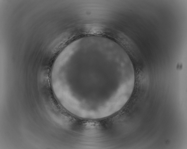 X0000114030415200911131253