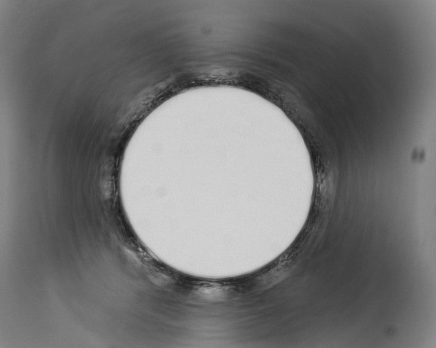 X0000114030416200911131253