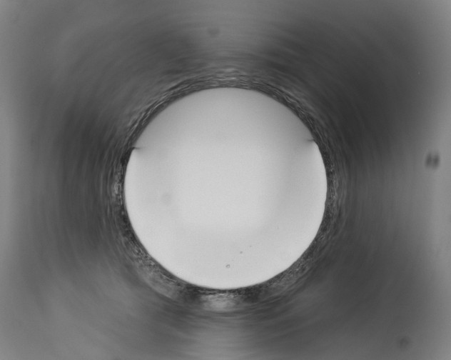 X0000114030417200911131253