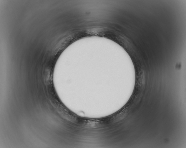 X0000114030420200911131253