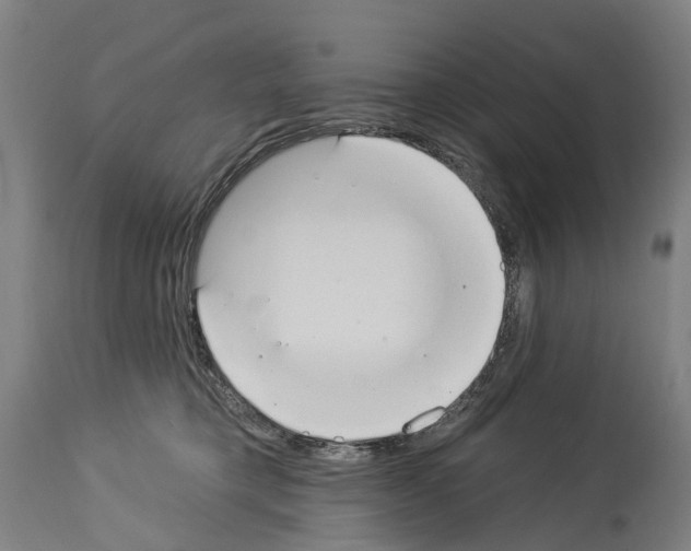 X0000114030421200911131253