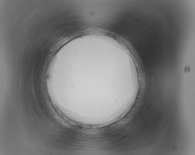 X0000114030433200911131252