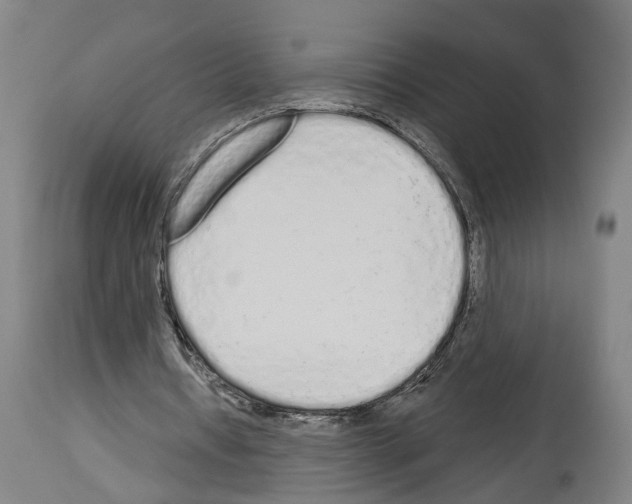 X0000114030434200911131252