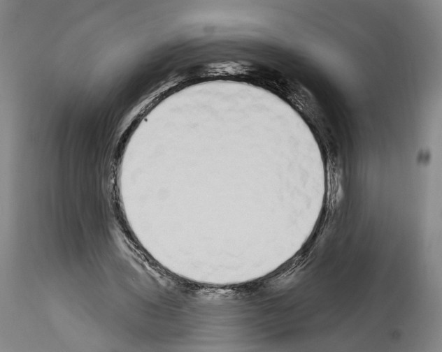 X0000114030435200911131252