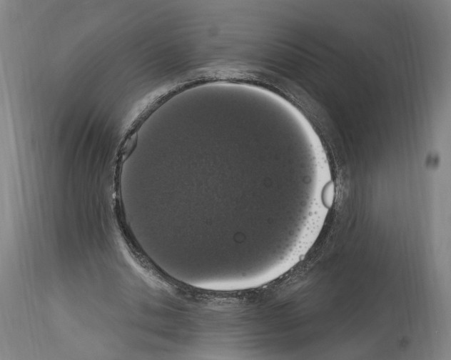 X0000114030438200911131252