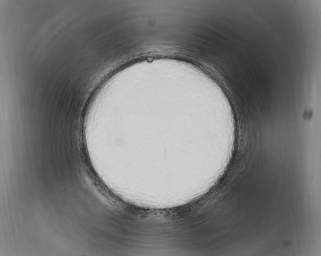 X0000114030439200911131252