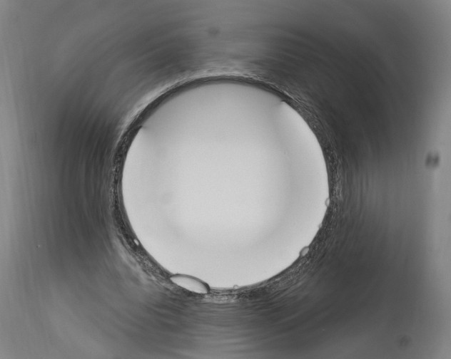 X0000114030440200911131252