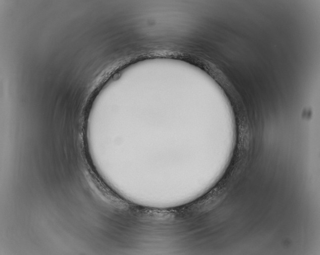 X0000114030443200911131252