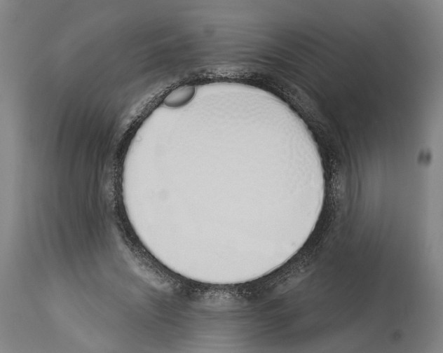 X0000114030444200911131252