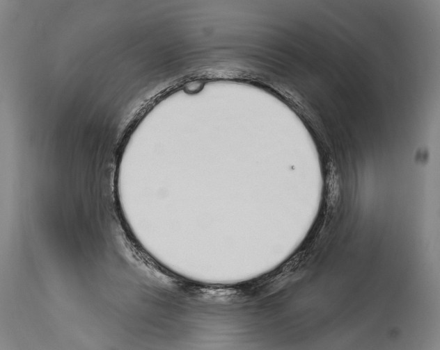 X0000114030446200911131252