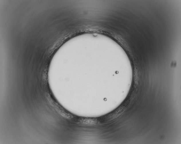 X0000114030449200911131252