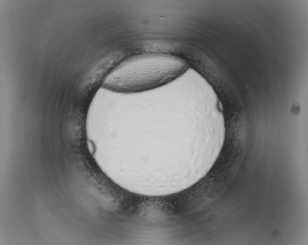 X0000114030452200911131252