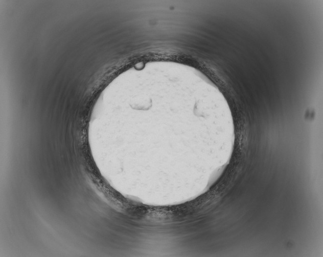 X0000114030455200911131252