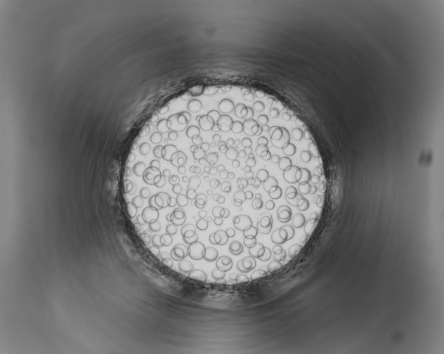 X0000114030458200911131252