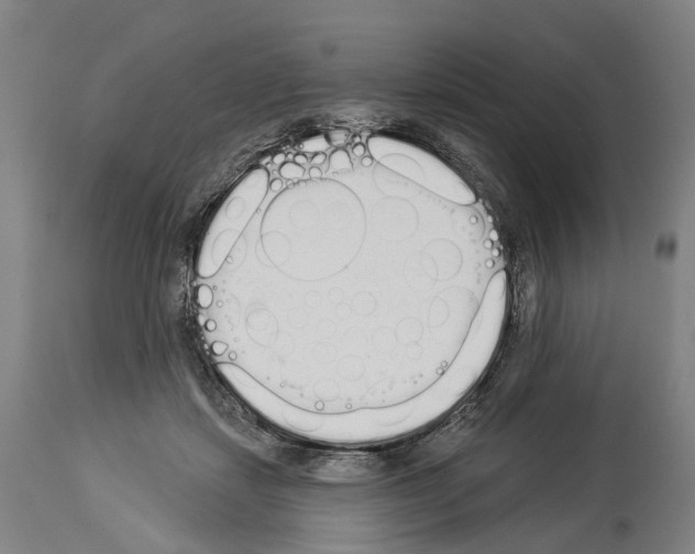 X0000114030459200911131253