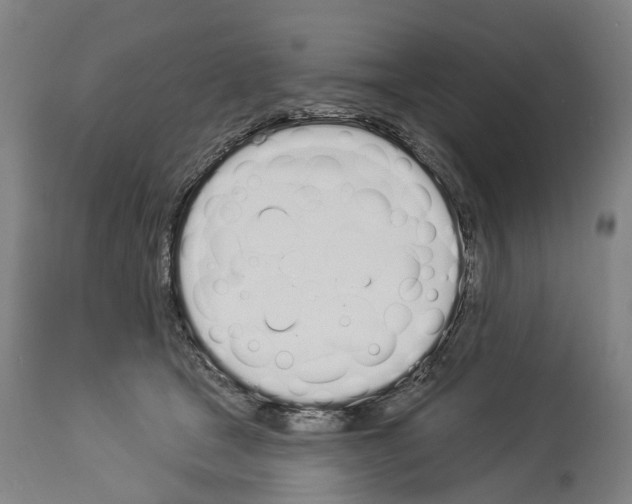 X0000114030465200911131253