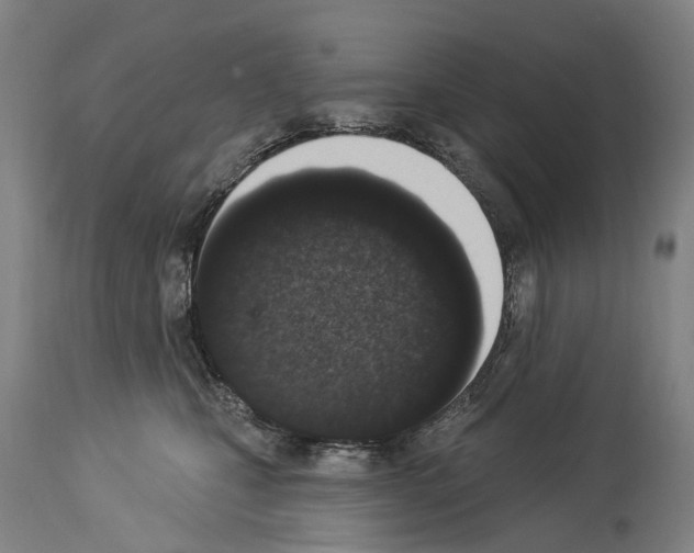 X0000114030471200911131253