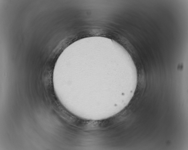 X0000114030473200911131253