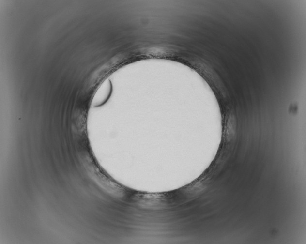 X0000114030478200911131253