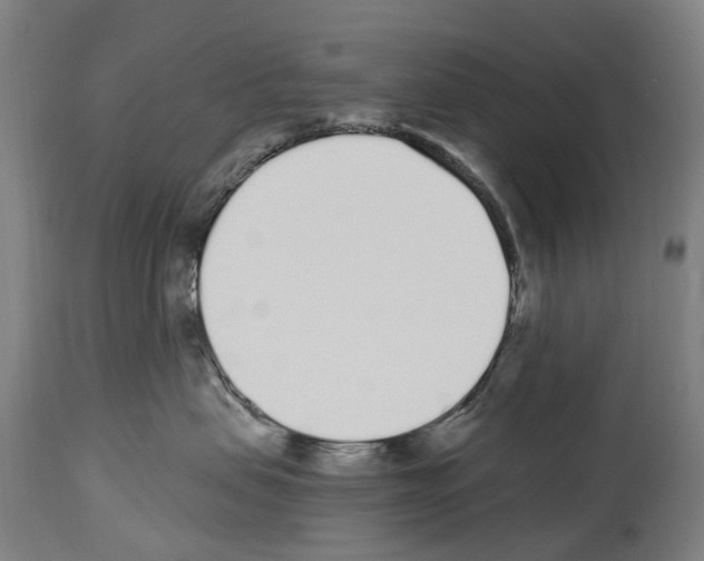 X0000114030479200911131253