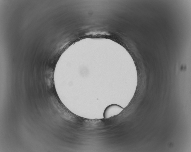 X0000114030480200911131253