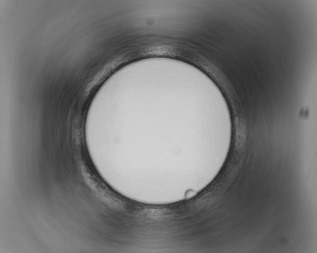 X0000114030482200911131252