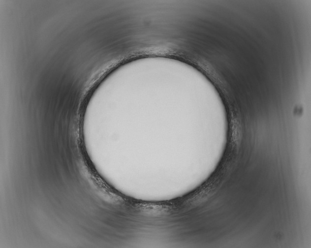 X0000114030486200911131252