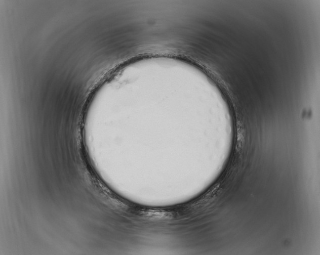 X0000114030487200911131252