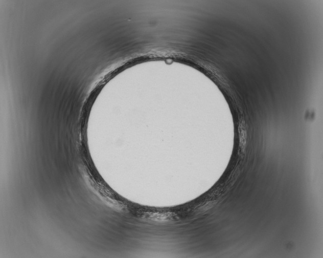 X0000114030488200911131252