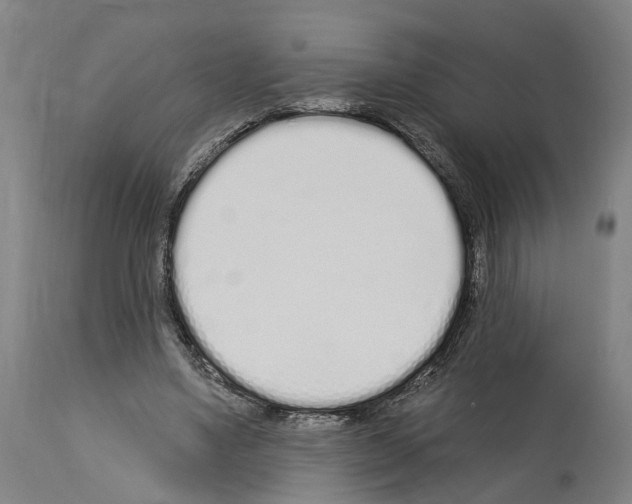 X0000114030491200911131252